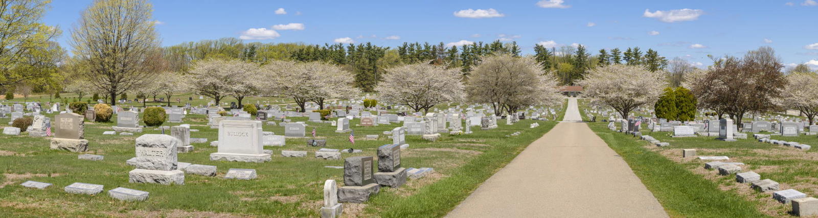 wide shot